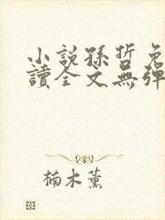 小说孙哲免费阅读全文无弹窗