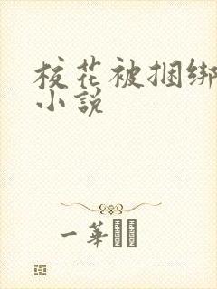 校花被捆绑调教小说