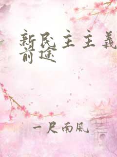 新民主主义革命前途