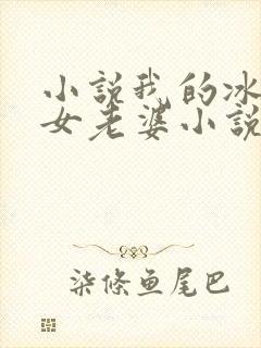 小说我的冰山美女老婆小说