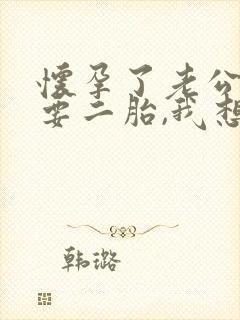 怀孕了老公不想要二胎,我想要怎么办