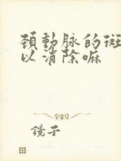 颈动脉的斑块可以消除嘛