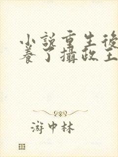 小说重生后我娇养了摄政王小说