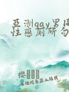 亚洲gay男同性恋厕所勾引gay网址大全