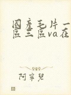 国产毛片一区二区三区va在线