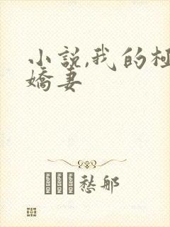 小说,我的极品娇妻