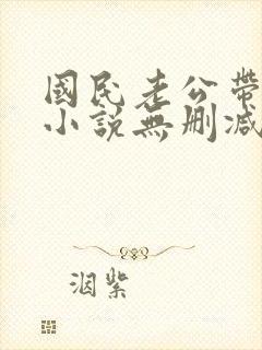 国民老公带回家小说无删减