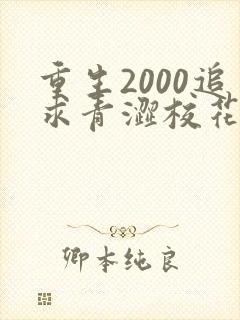 重生2000追求青涩校花同桌开始在线全本阅读