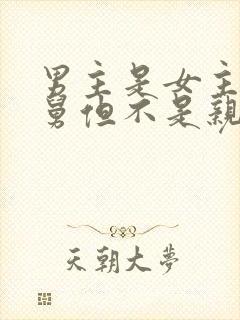 男主是女主的舅舅但不是亲的小说