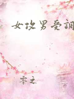 女攻男受调教h