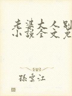 老婆大人别想逃小说全文免费阅读