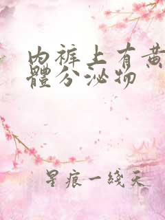 内裤上有黄色液体分泌物