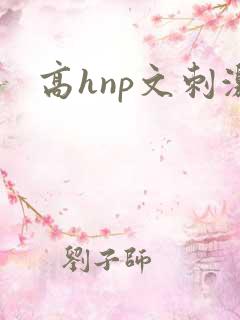 高hnp文刺激
