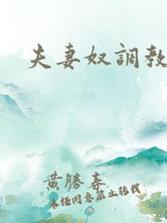 夫妻奴调教小说