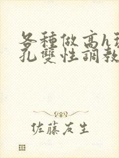 各种做高h玩尿孔双性调教