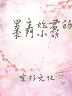 男主姓君的现代豪门小说