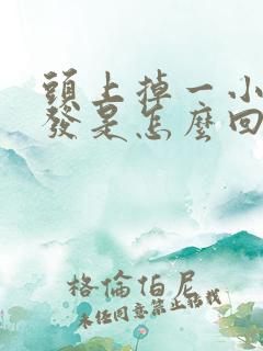 头上掉一小块头发是怎么回事