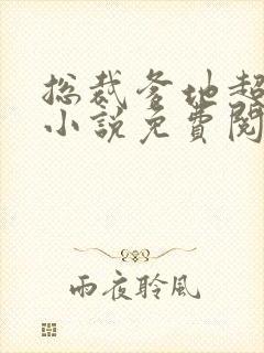 总裁爹地超给力小说免费阅读全文