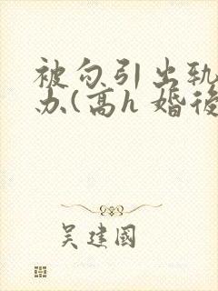 被勾引出轨怎么办(高h 婚后np