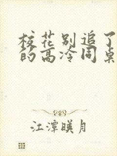 校花别追了 我的高冷同桌txt下载