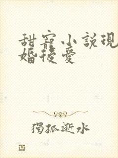 甜宠小说现言先婚后爱