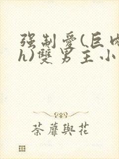 强制爱(巨肉高h)双男主小说