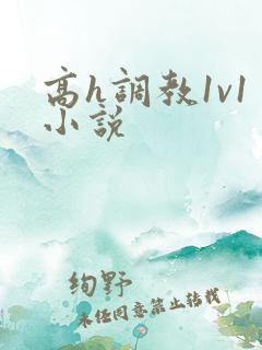 高h调教1v1小说