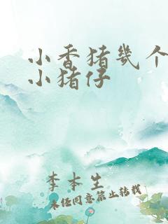 小香猪几个月生小猪仔