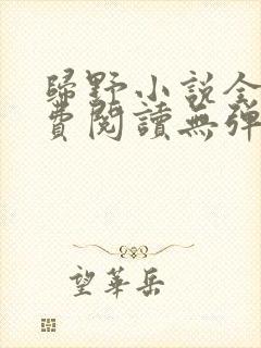 归野小说全文免费阅读无弹窗