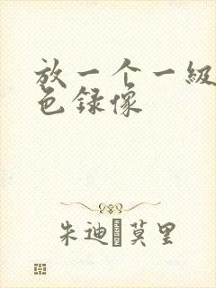 放一个一级的黄色录像