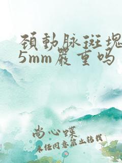 颈动脉斑块3.5mm严重吗