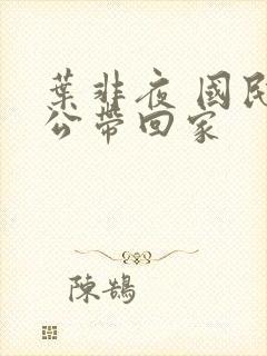 叶非夜 国民老公带回家