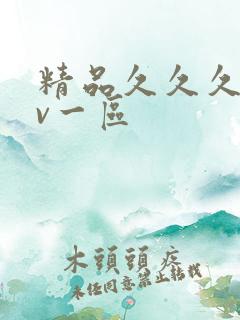 精品久久久久av一区