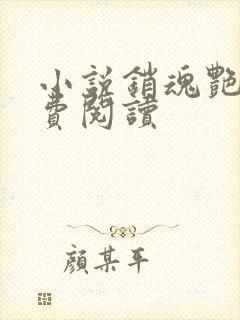 小说销魂艳婢免费阅读