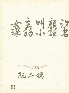 女主叫颜汐陆霆琛的小说名字