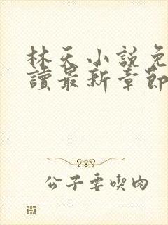 林天小说免费阅读最新章节