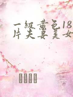 一级黄色18岁片夫妻美女