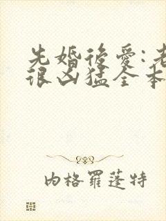 先婚后爱:老公很凶猛全本下载txt