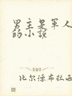 男主是军人姓顾的小说