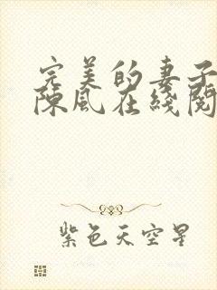 完美的妻子小说陈风在线阅读