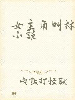 女主角叫林柔的小说