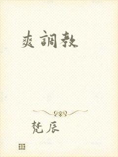 爽调教
