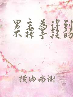 男主为得到女主不择手段的古言