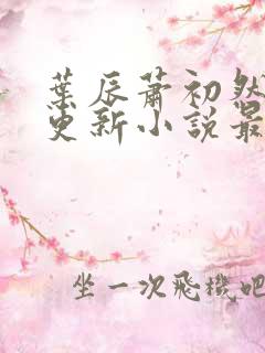 叶辰萧初然最快更新小说最新