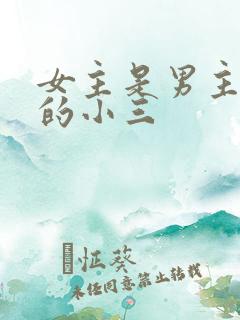 女主是男主多年的小三