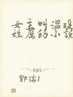 女主叫温暖男主姓厉的小说