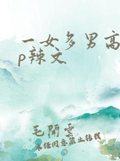 一女多男高hnp辣文