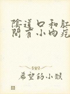 阴道口和肛门之间有小肉疙瘩