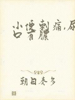 小便刺痛,尿道口有脓