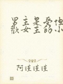 男主是受但是喜欢女主的小说